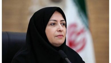 انصاری: حل معضلات زیست‌محیطی بدون مشارکت زنان و بخش خصوصی امکان‌پذیر نیست