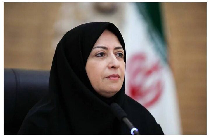 انصاری: حل معضلات زیست‌محیطی بدون مشارکت زنان و بخش خصوصی امکان‌پذیر نیست