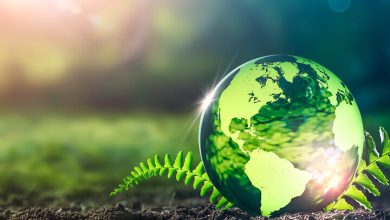 آماده‌سازی نخستین بستر هوش مصنوعی ۲ زبانه قوانین و مقررات محیط زیست