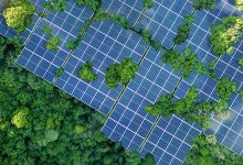 درختان خورشیدی، راهکاری نوین برای تولید برق پاک در جنگل‎ها