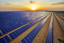 تحولی سبز در دل بیابان