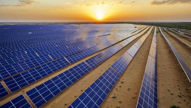 تحولی سبز در دل بیابان