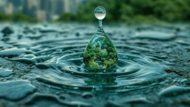 آغاز برداشت آب آشامیدنی از باران برای اولین بار در ایران