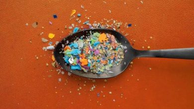 ریزپلاستیک‌ها به همه‌جا نفوذ کرده‌اند!