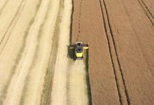 تبدیل مزارع جهان به ابزاری قدرتمند برای مقابله با تغییرات اقلیمی