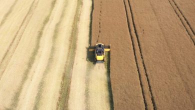 تبدیل مزارع جهان به ابزاری قدرتمند برای مقابله با تغییرات اقلیمی